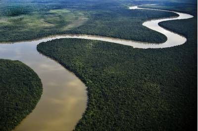 Na Amazônia, aumento de produtividade ajuda no combate ao desmatamento