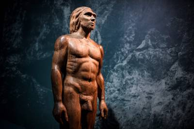 Neandertais caçavam mariscos há 90 mil anos, revela estudo