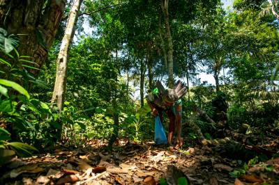 DSI: tecnologia é a melhor defesa contra a biopirataria