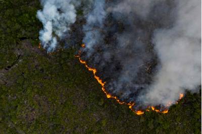 Código Florestal completa 10 anos com poucos avanços na área ambiental