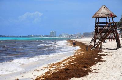 México proíbe fumar em praias, parques e outros espaços públicos