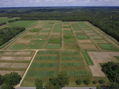 Transição energética e novos horizontes para a agricultura brasileira