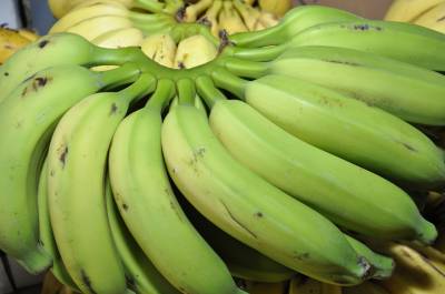Fibra presente na banana  e na batata ameniza a gordura no fígado 
