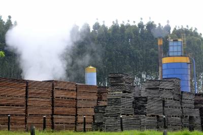 Mato Grosso aplica R$ 712 milhões em multas por desmatamento ilegal até maio