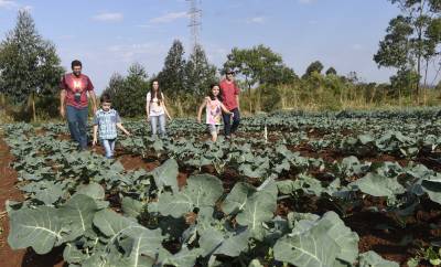 Artigo: Agricultura familiar tratada com respeito e valorização