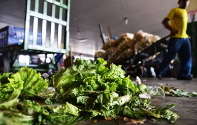 Mercados exploram pouco o potencial de aliviar a fome